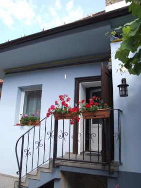 Blue House